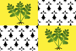 Flag of Fougères